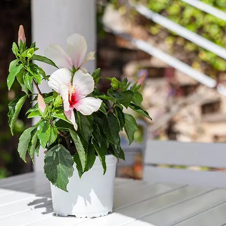 Dom wakacyjny Casa Morisca Vistas Al Mar