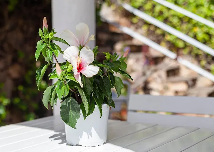 Сasa de vacaciones Casa Morisca Vistas Al Mar